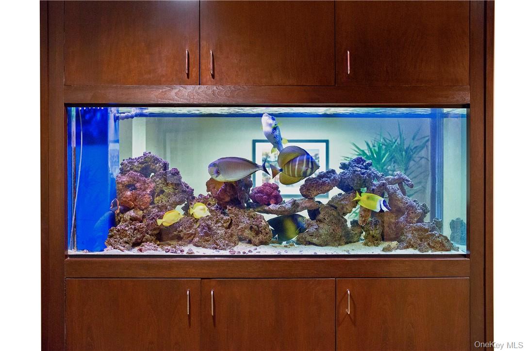 500 Mamaroneck Avenue # 320, Harrison, NY 10528