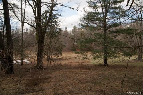 182 Tuxedo Road, Tuxedo Park, NY 10987