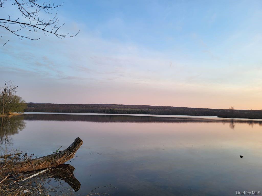 Lake Roxanne RT 11 Ellenburg Depot, Other, NY 12935