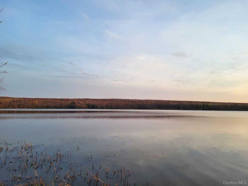 Lake Roxanne RT 11 Ellenburg Depot, Other, NY 12935