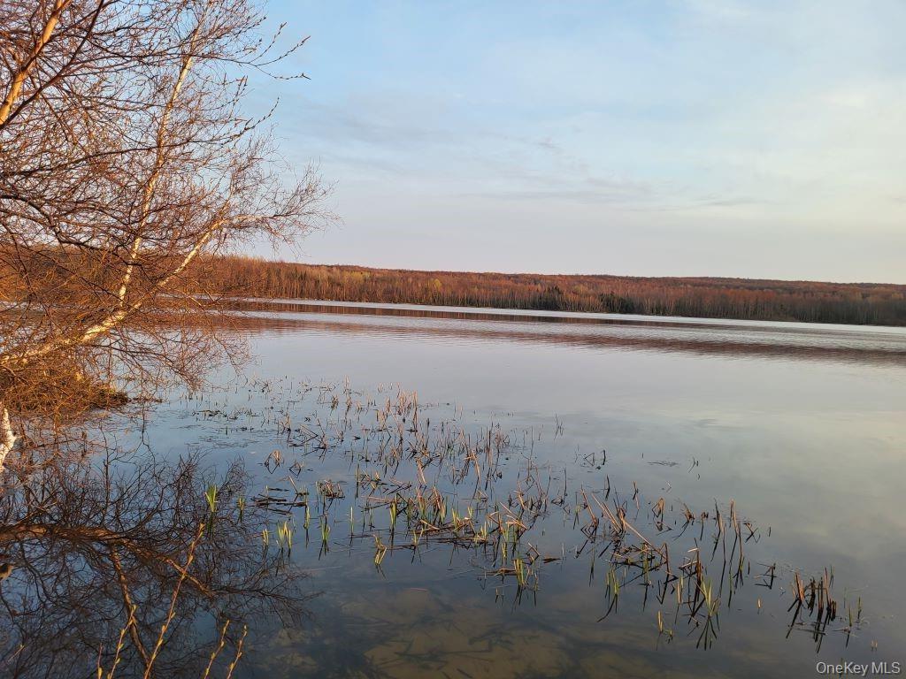 Lake Roxanne RT 11 Ellenburg Depot, Other, NY 12935