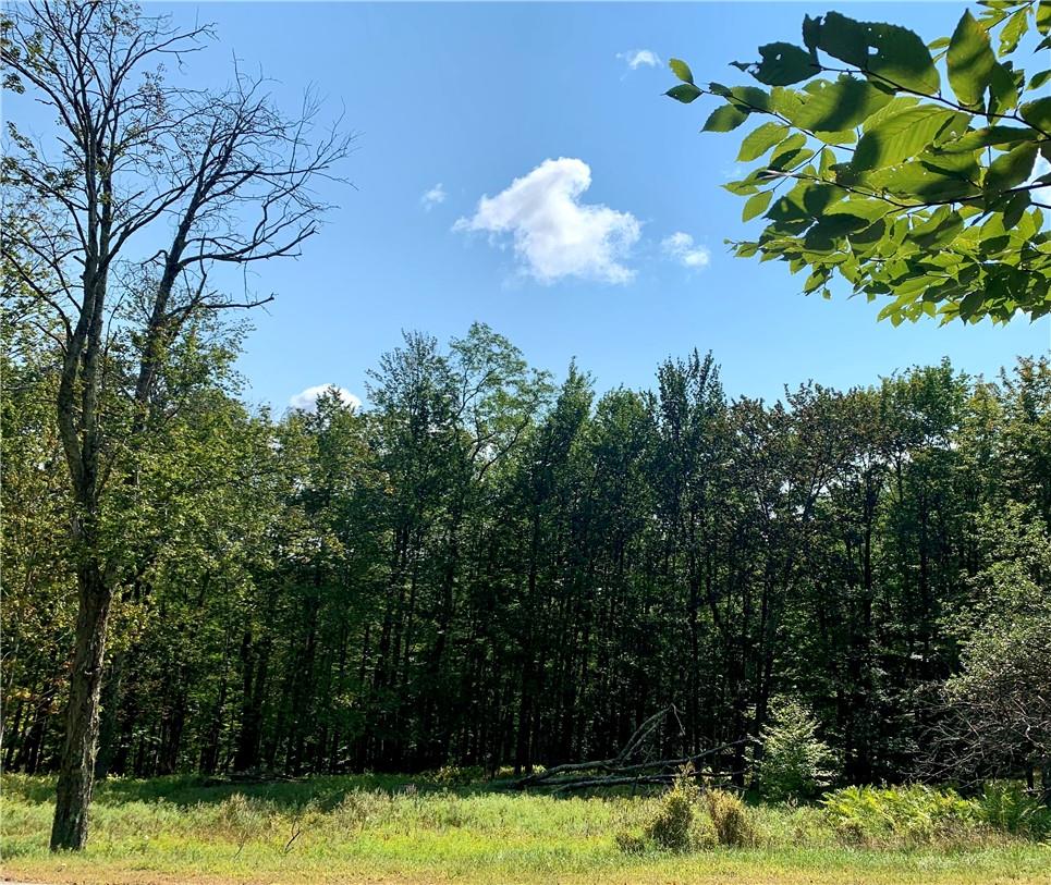 Red Hill Road, Claryville, NY 12725