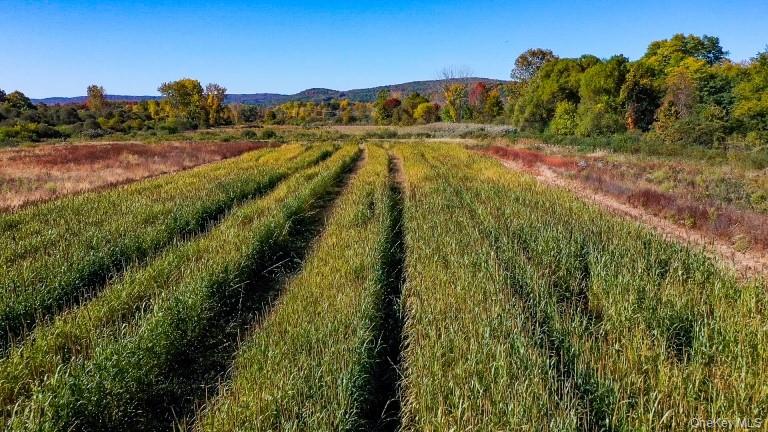 225 Route 22, Pawling, NY 12564