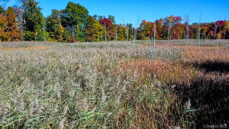 225 Route 22, Pawling, NY 12564