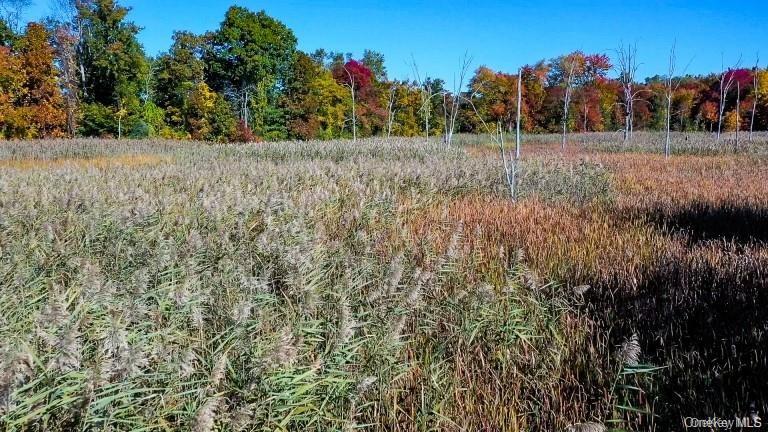 225 Route 22, Pawling, NY 12564