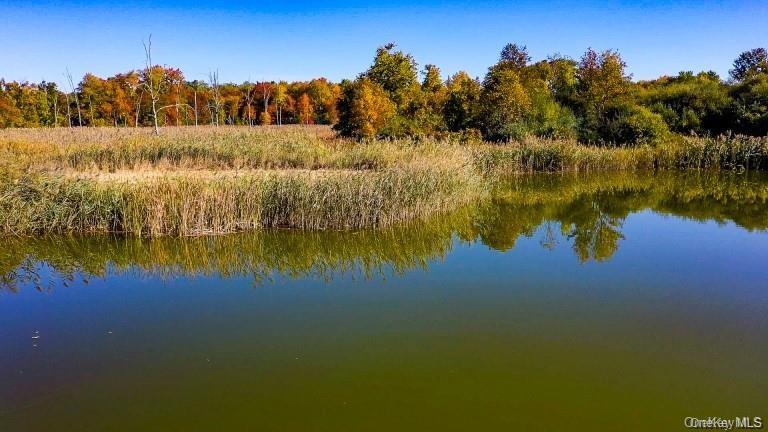 225 Route 22, Pawling, NY 12564