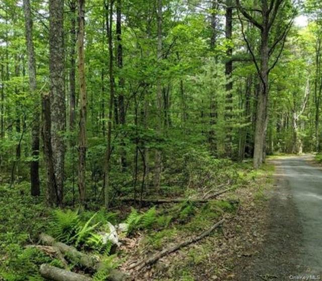 01 Allen Road, Wurtsboro, NY 12790