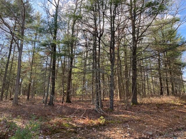 Magnolia Drive, Glen Spey, NY 12737