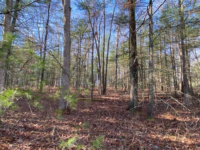 Magnolia Drive, Glen Spey, NY 12737