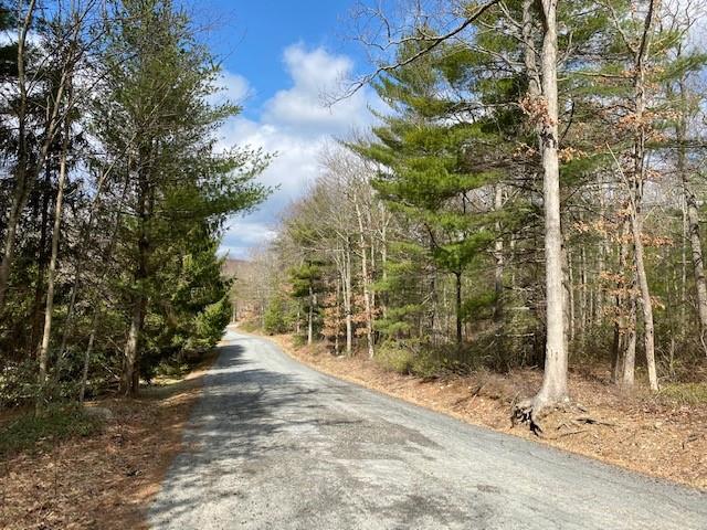 Magnolia Drive, Glen Spey, NY 12737