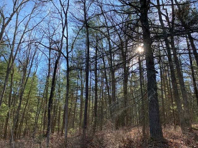 Magnolia Drive, Glen Spey, NY 12737