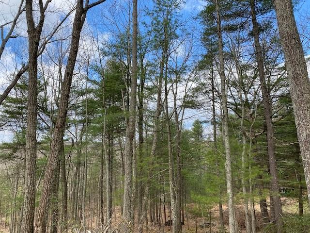 Magnolia Drive, Glen Spey, NY 12737