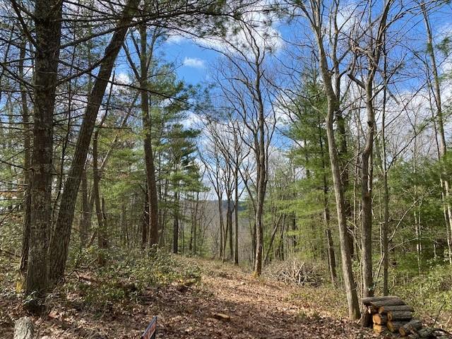 Magnolia Drive, Glen Spey, NY 12737