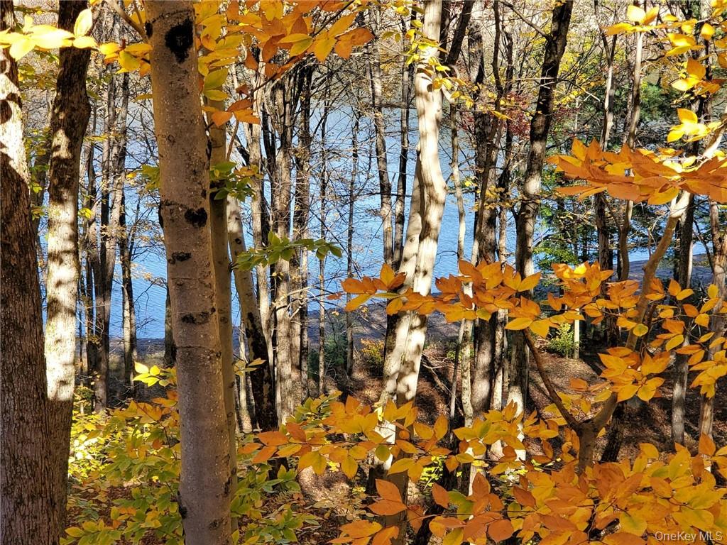 97 Homestead Trail, White Lake, NY 12786