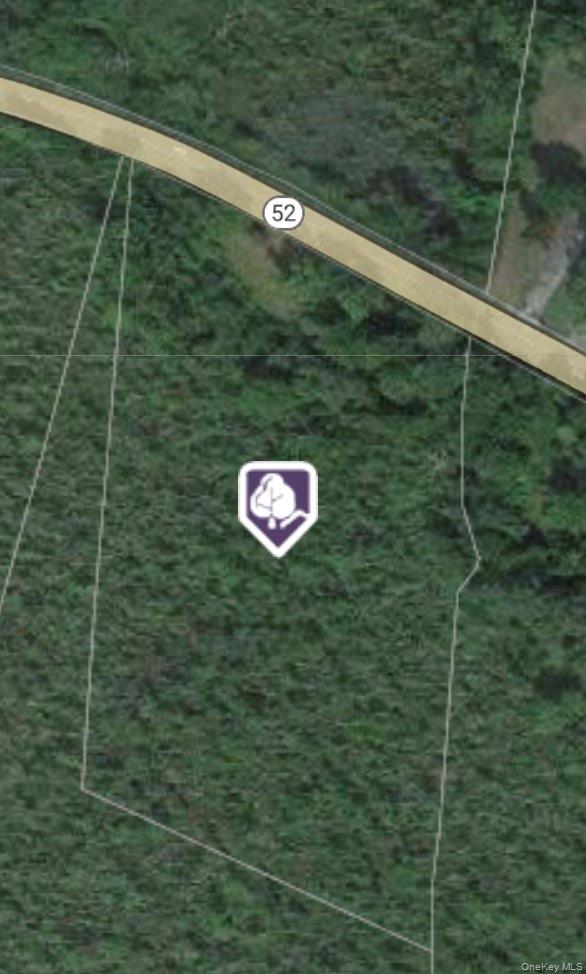 2396 Route 52, Hopewell Junction, NY 12533