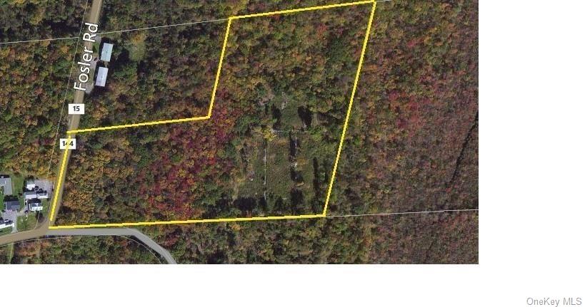 TBD Fosler Road, Plattekill, NY 12568