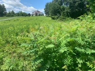 273 Perkinsville Road, Highland, NY 12528