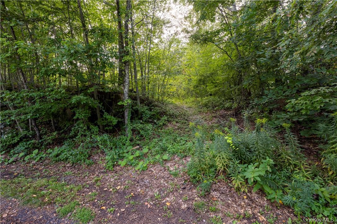 10 William Way, Stormville, NY 12582