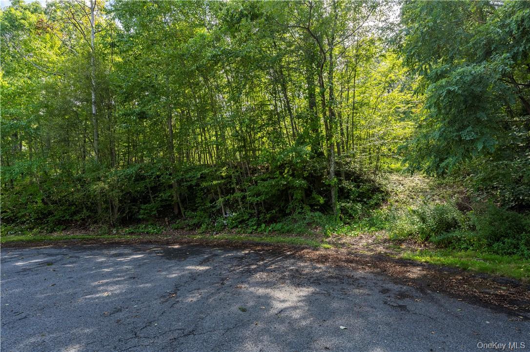 10 William Way, Stormville, NY 12582