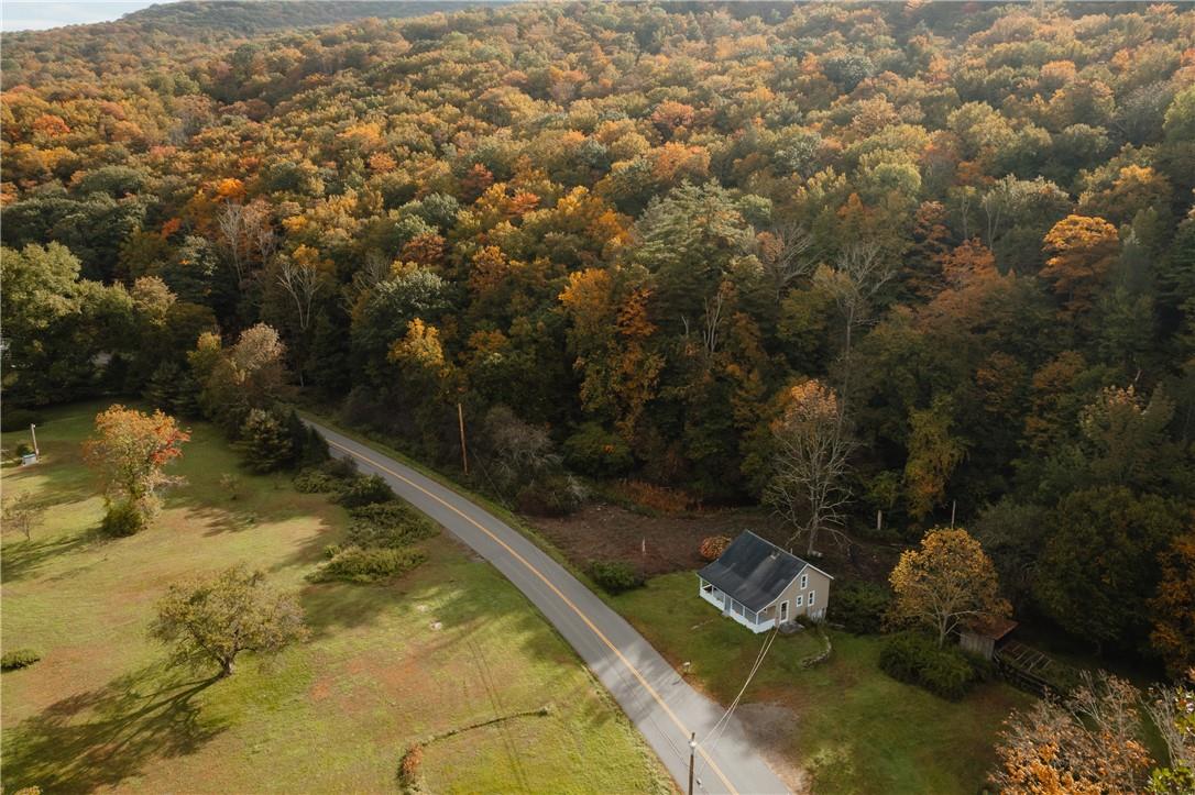 98 Peekamoose Road, Sundown, NY 12740