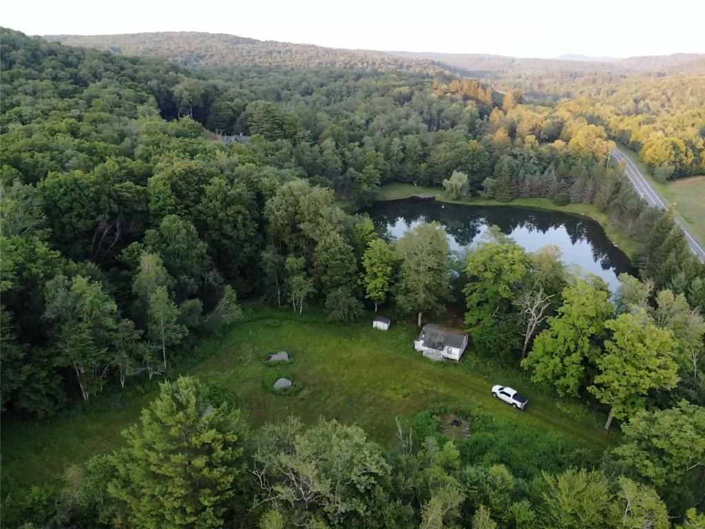 909 Debruce Road, Livingston Manor, NY 12758