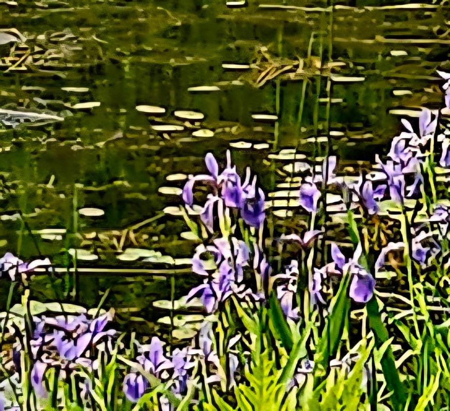 141 Bonnie Brook Road, Roscoe, NY 12776