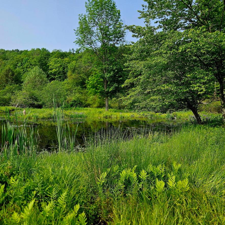 141 Bonnie Brook Road, Roscoe, NY 12776