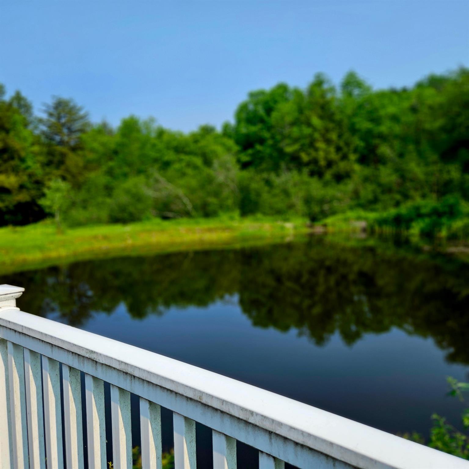 141 Bonnie Brook Road, Roscoe, NY 12776