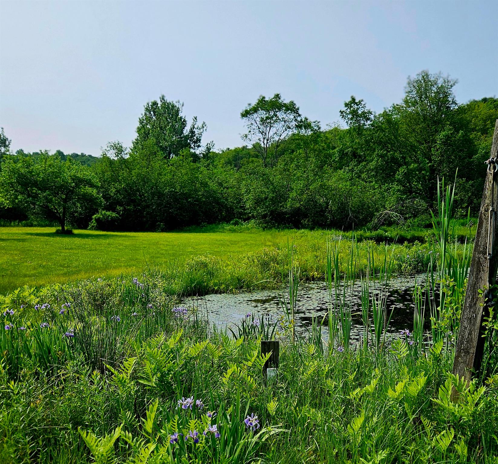 141 Bonnie Brook Road, Roscoe, NY 12776