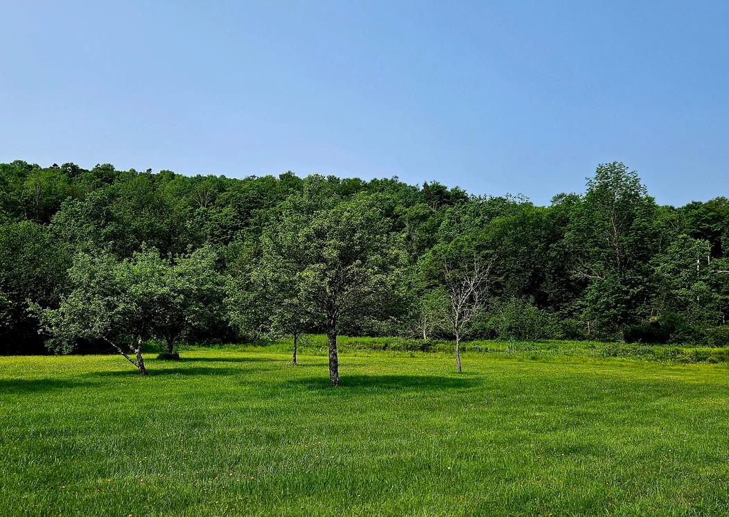 141 Bonnie Brook Road, Roscoe, NY 12776