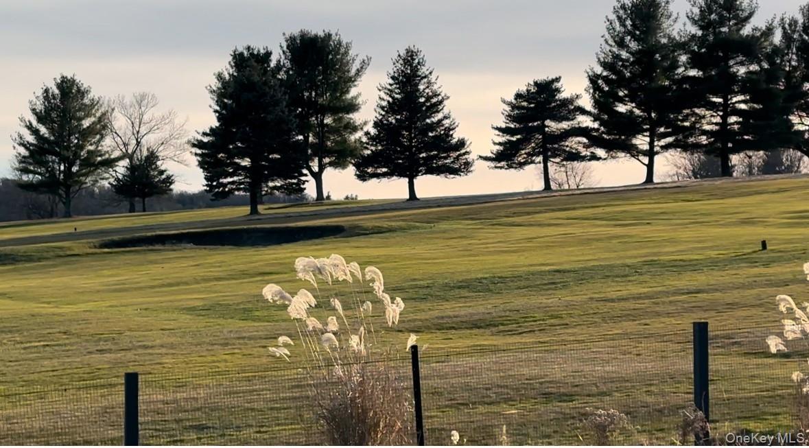 61 Red Fox Lane, Copake, NY 12521