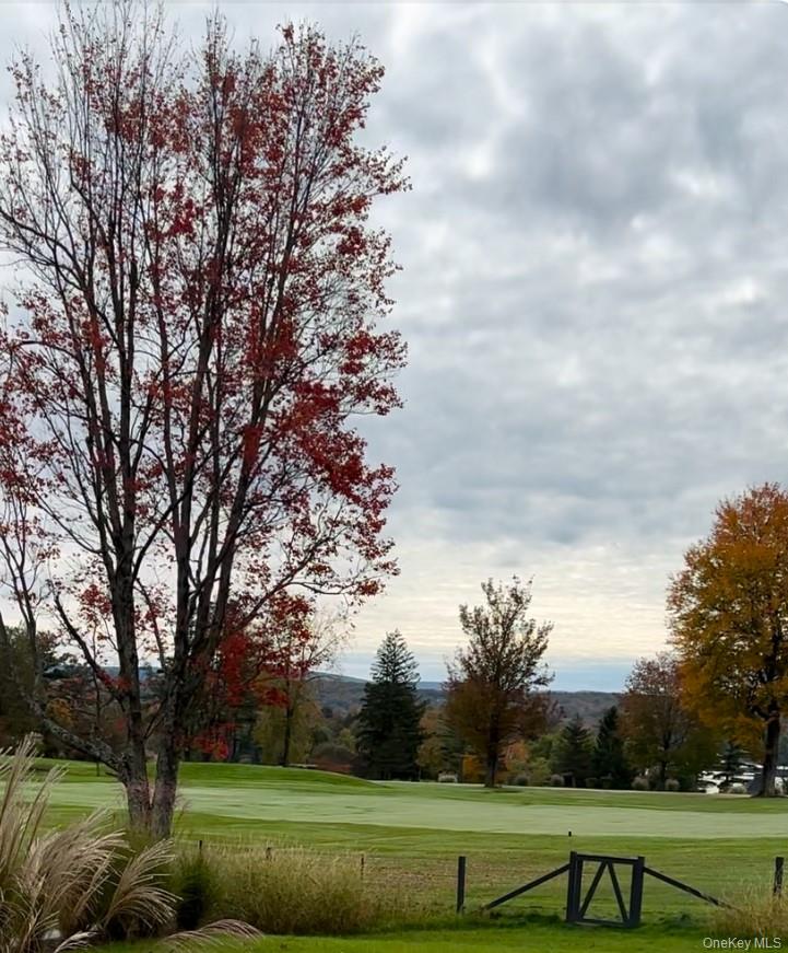 61 Red Fox Lane, Copake, NY 12521