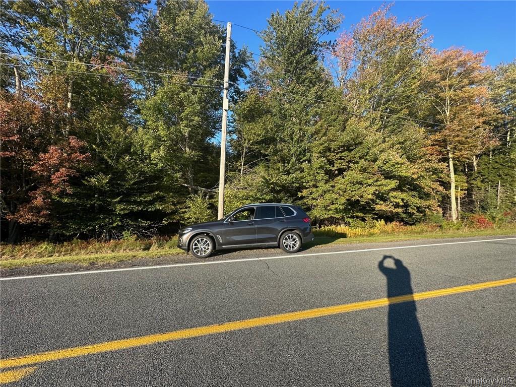 Ulster Heights Road, Fallsburg, NY 12733