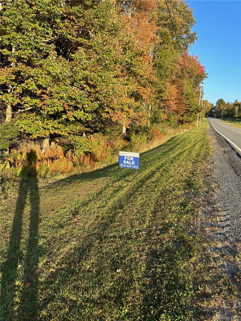 Ulster Heights Road, Fallsburg, NY 12733