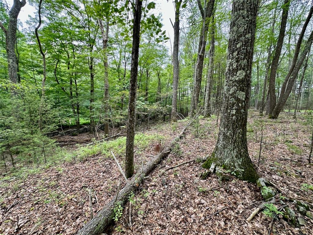Baran Drive, Glen Spey, NY 12737