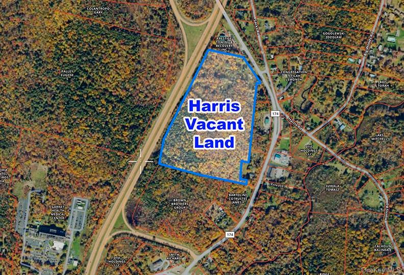 Old Route 17, Harris, NY 12742