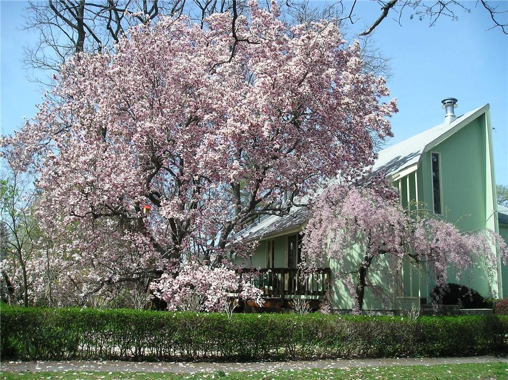 37 Thompson Avenue, White Plains, NY 10603