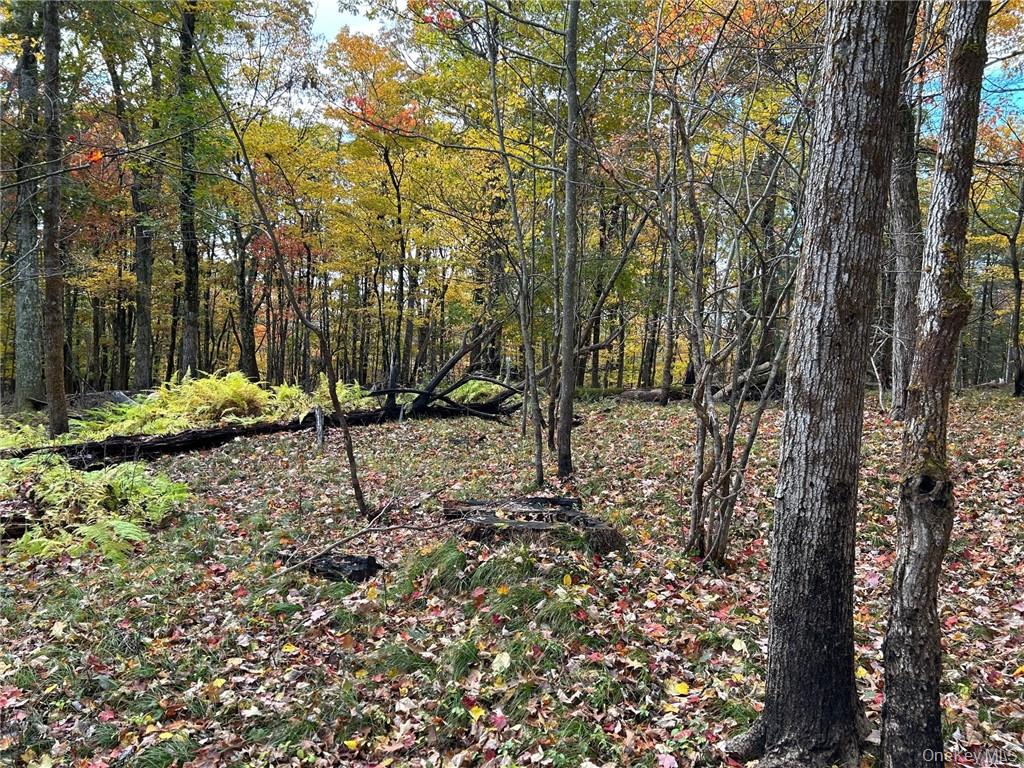 1 W Hill Road, Austerlitz, NY 12017