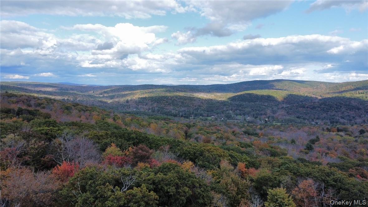 1 W Hill Road, Austerlitz, NY 12017