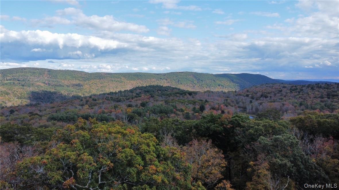 1 W Hill Road, Austerlitz, NY 12017