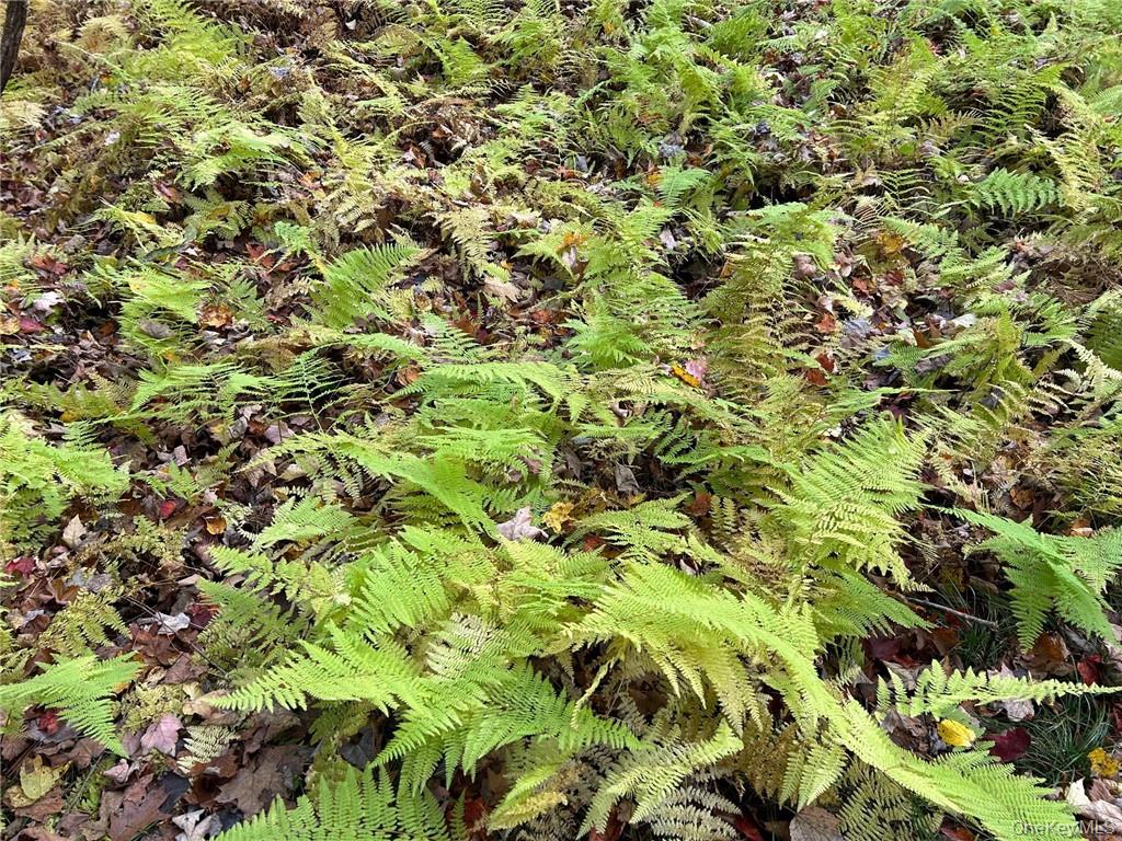 1 W Hill Road, Austerlitz, NY 12017