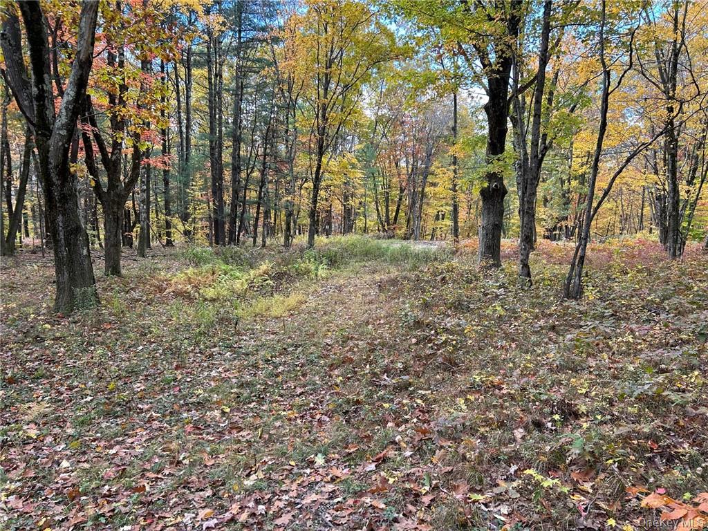 1 W Hill Road, Austerlitz, NY 12017