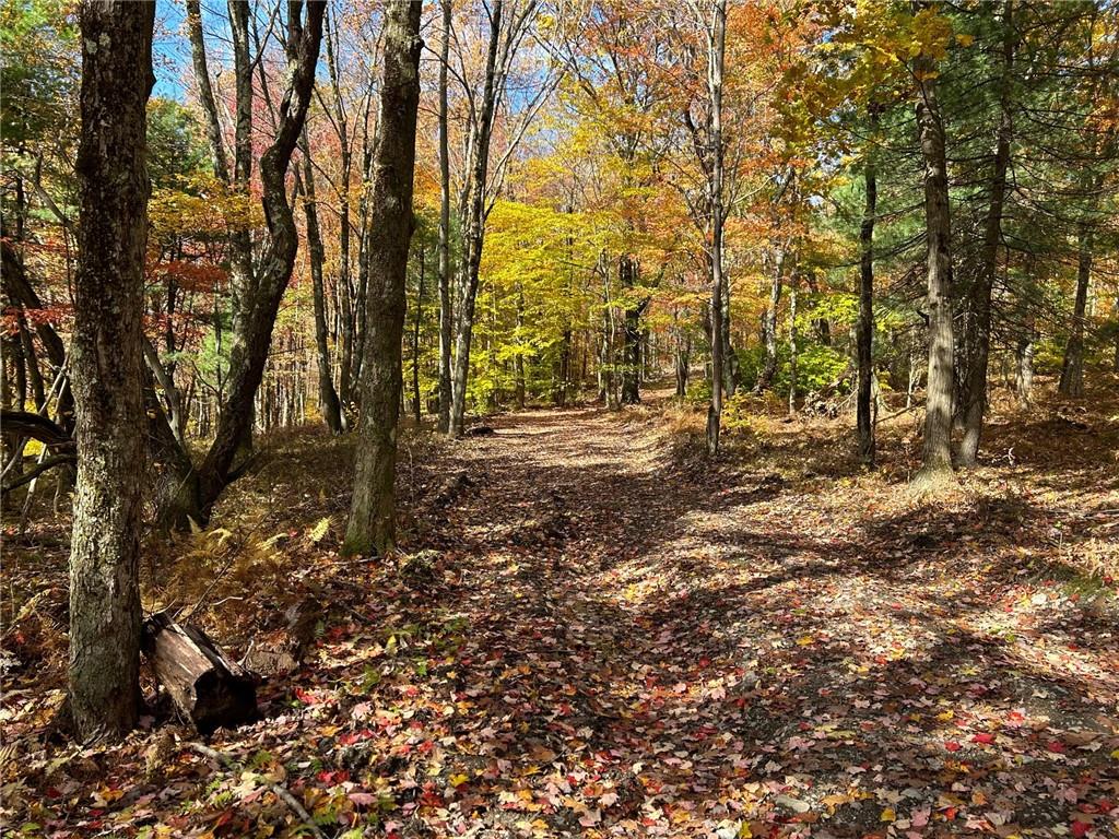 2 W Hill Road, Austerlitz, NY 12017