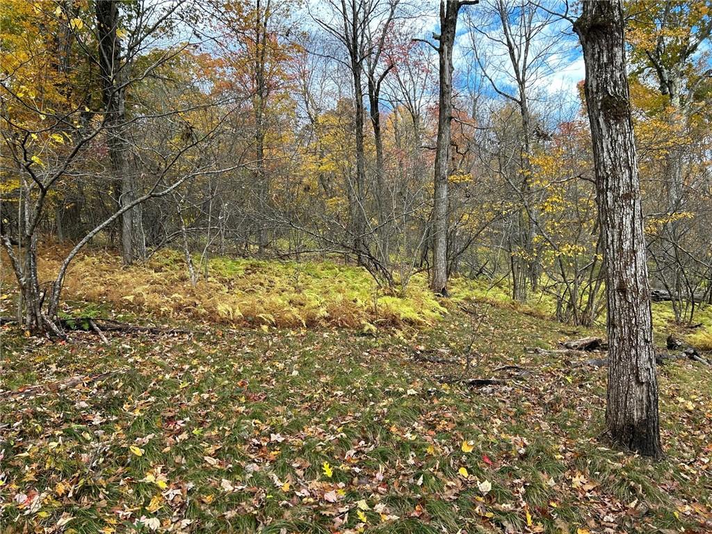 2 W Hill Road, Austerlitz, NY 12017