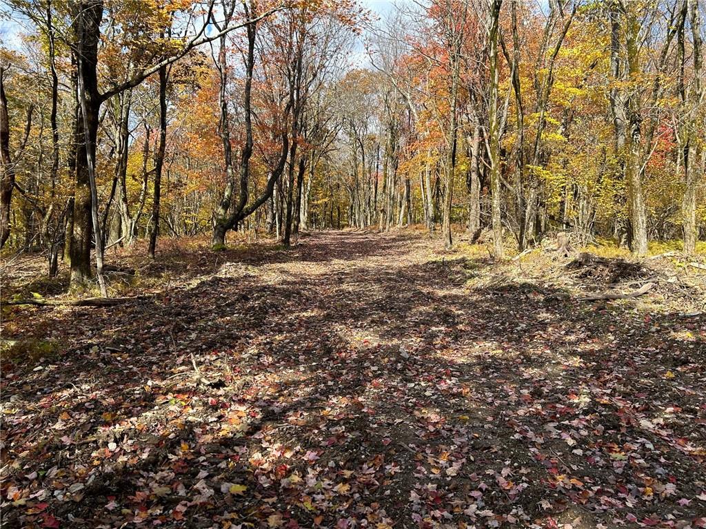 2 W Hill Road, Austerlitz, NY 12017