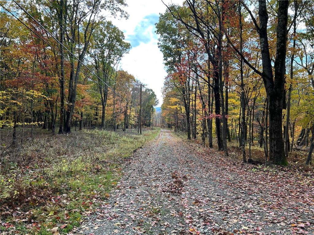 3 W Hill Road, Austerlitz, NY 12017