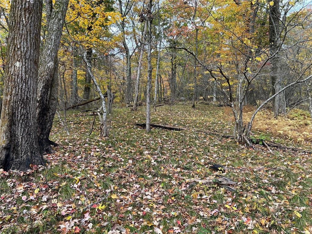 3 W Hill Road, Austerlitz, NY 12017