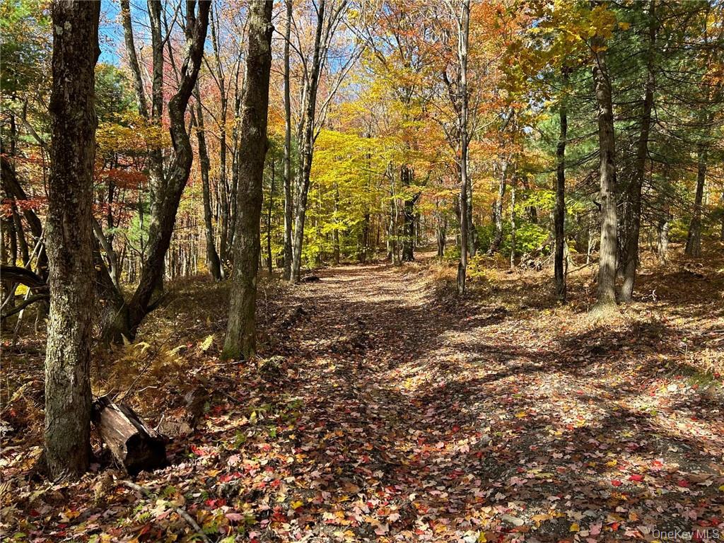 3 W Hill Road, Austerlitz, NY 12017