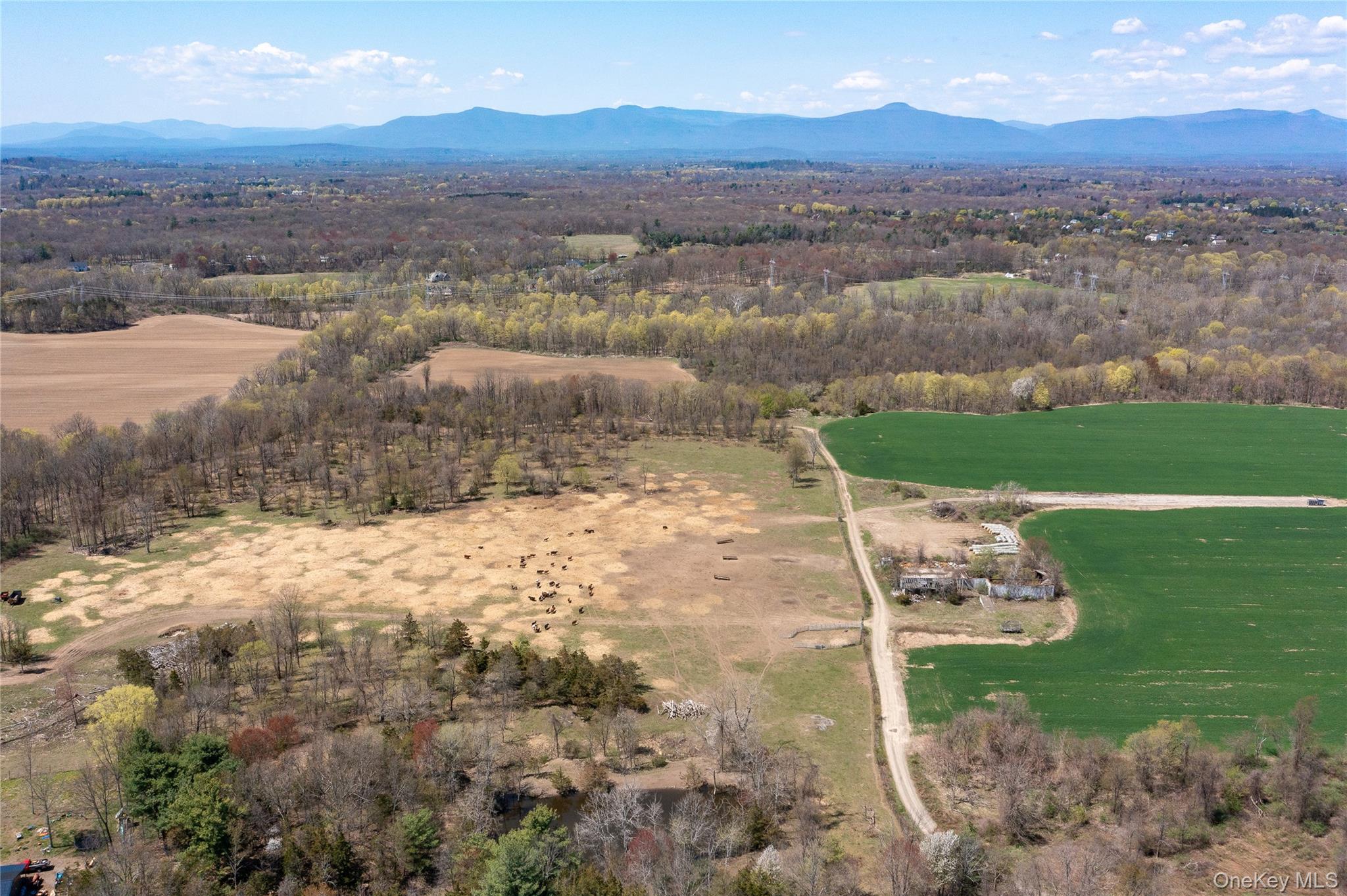 COUNTY ROAD 19, Germantown, NY 12523