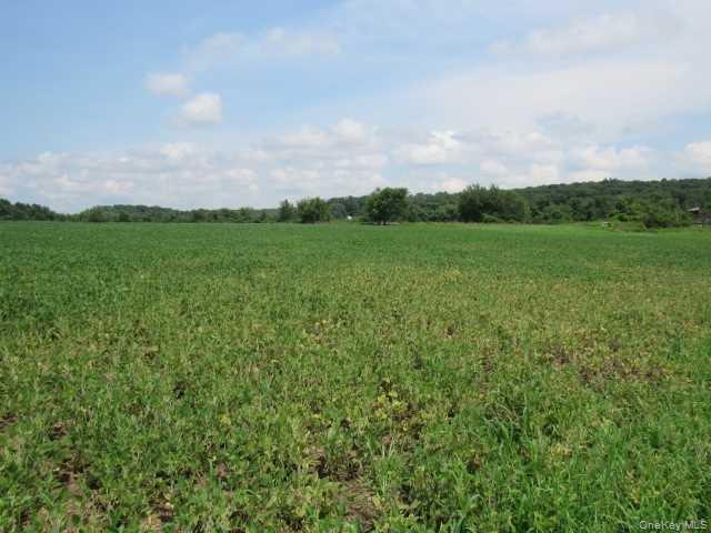 COUNTY ROAD 19, Germantown, NY 12523